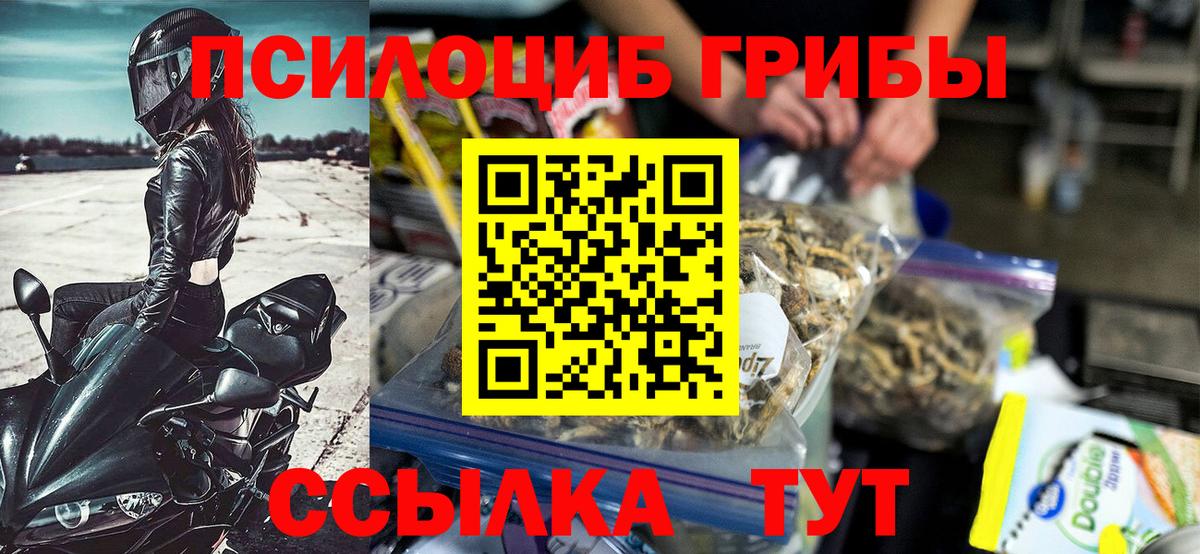 Галлюциногенные грибы прущие грибы Александров