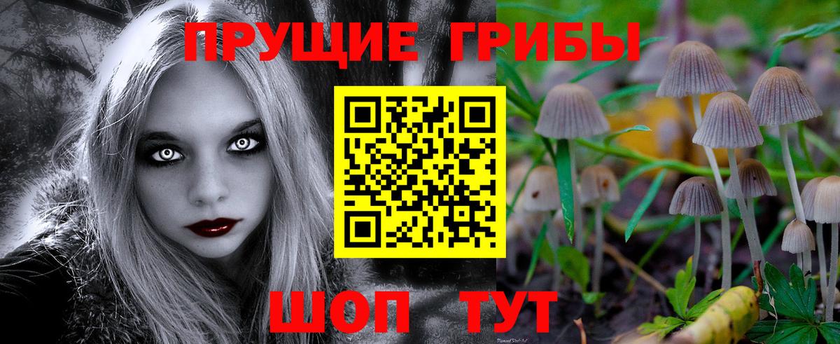 Псилоцибиновые грибы Psilocybe  Галлюциногенные грибы Psilocybine cubensis  Александров  Вход с VPN 